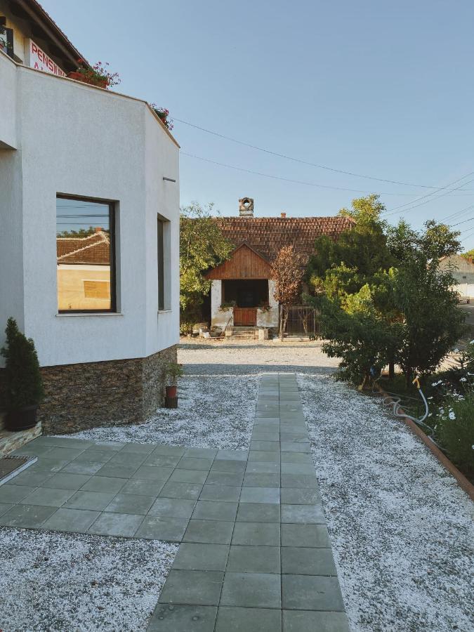 Pensiunea Aurelia Siria Extérieur photo