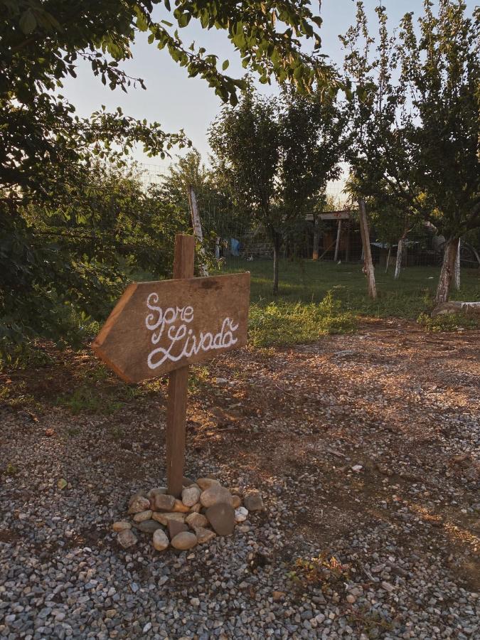 Pensiunea Aurelia Siria Extérieur photo