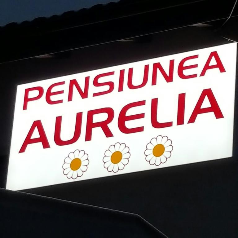 Pensiunea Aurelia Siria Extérieur photo