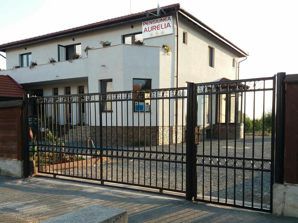 Pensiunea Aurelia Siria Extérieur photo