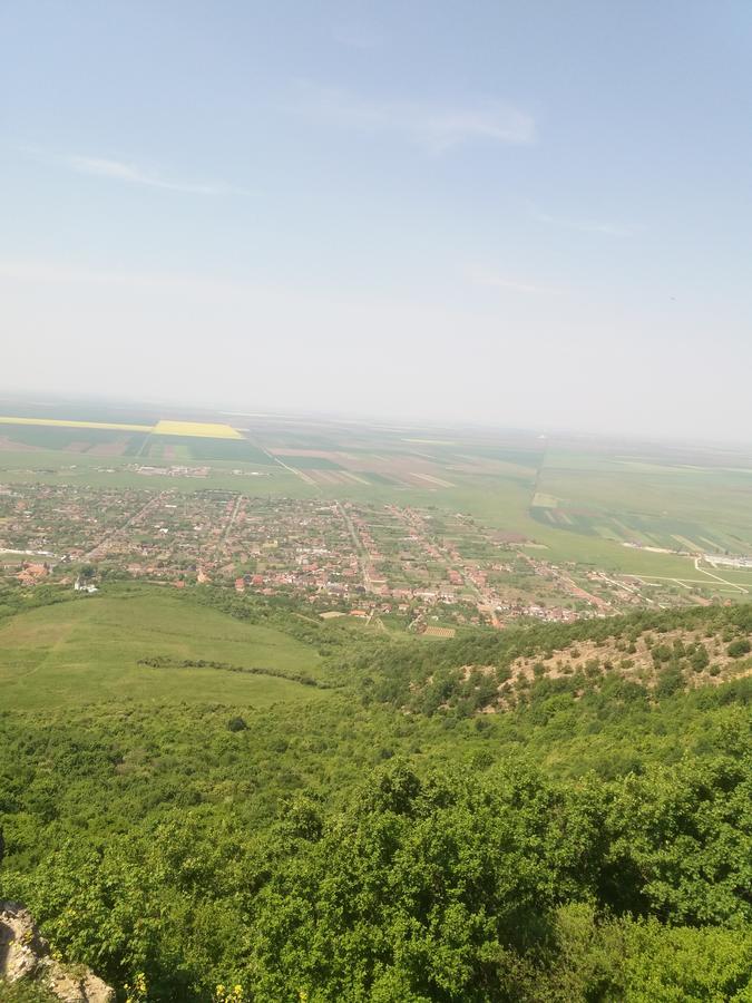 Pensiunea Aurelia Siria Extérieur photo